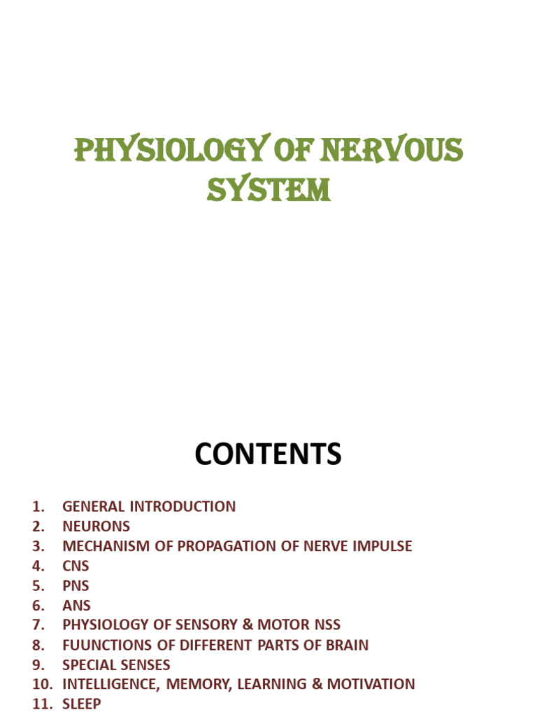 Nervous System Pdf Chemical Synapse Excitatory Postsynaptic Potential