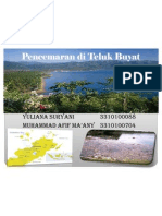 Pencemaran Teluk Buyat