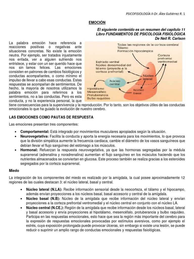 Tema 2 - Emocion | PDF | Las emociones | Percepción visual