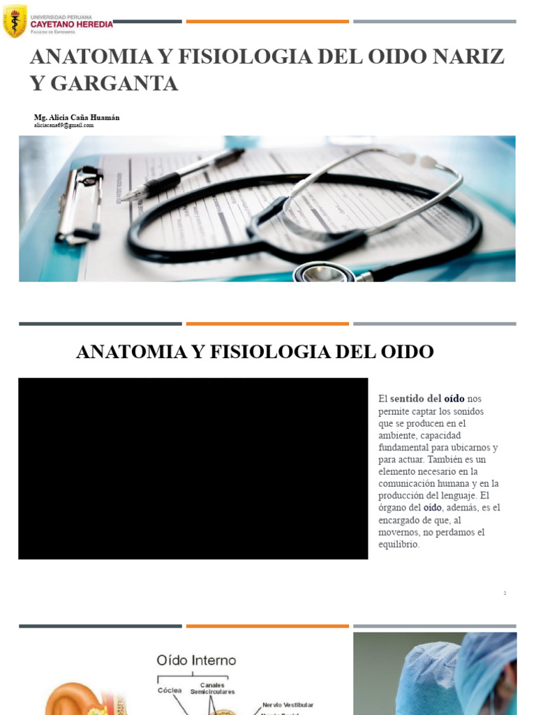 Anatomia Y Fisiologia Del Oido Nariz Y Garganta Descargar Gratis Pdf