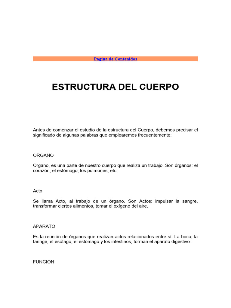 estructura del cuerpo humano 2 | Descargar gratis PDF | Páncreas ...