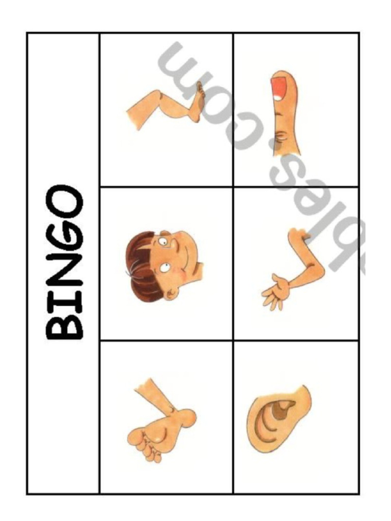 parts-of-the-body-bingo-and-word-hunt-pdf