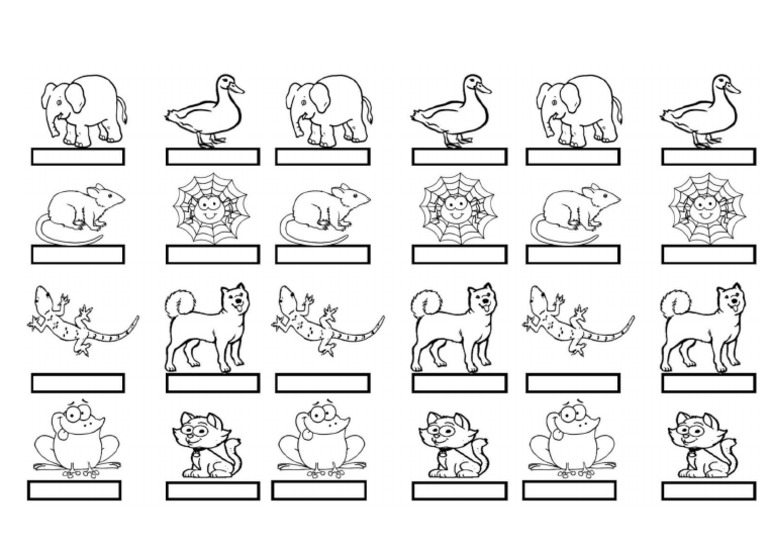 pet-show-pdf