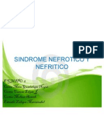 Sindrome Nefrotico y Nefritico