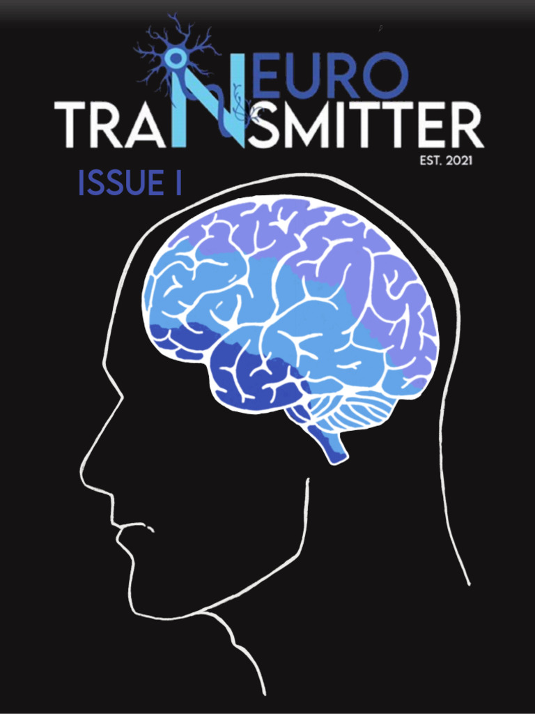 Rice Neuro Transmitter Overview | PDF | Memory | Attention
