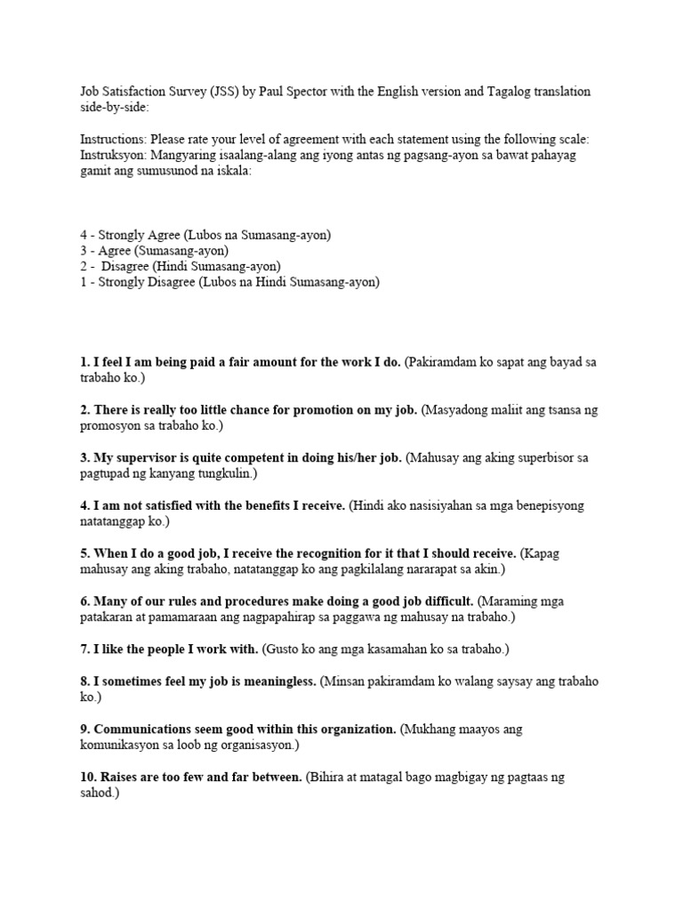 Job Satisfaction Survey by Paul Spector | PDF | Job Satisfaction | Business
