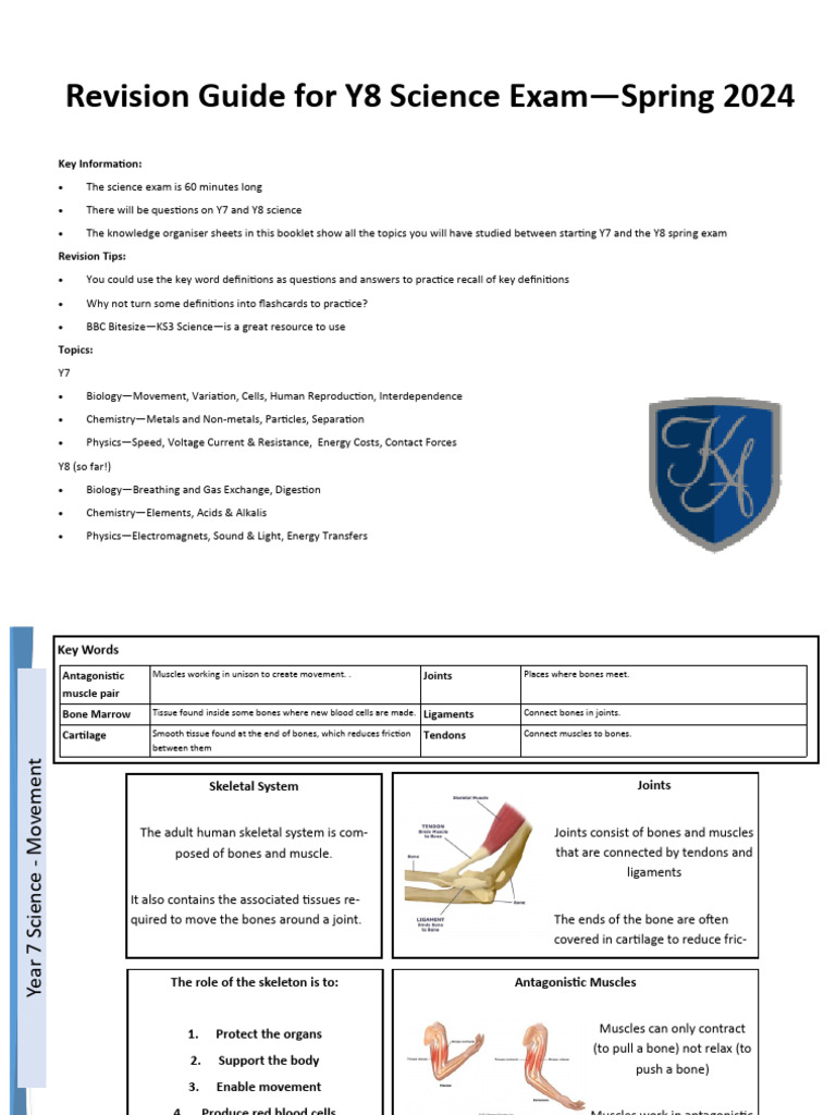 Y8 Science Exam Revision Guide 2024 | PDF | Renewable Energy | Cell ...