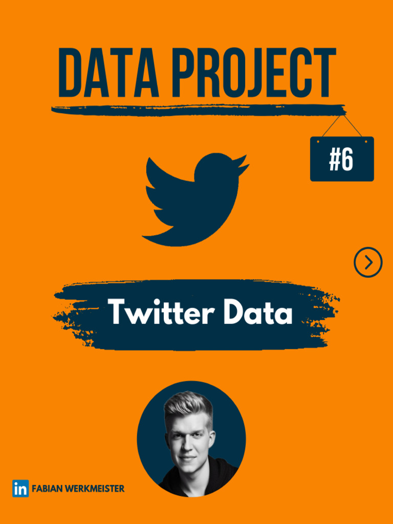 Twitter data project pdf