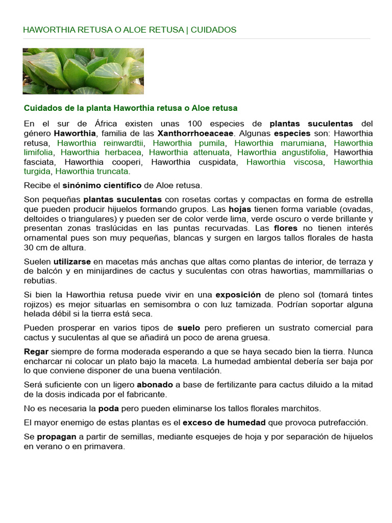 Haworthia Retusa o Aloe Retusa - Cuidados | PDF | Tecnología