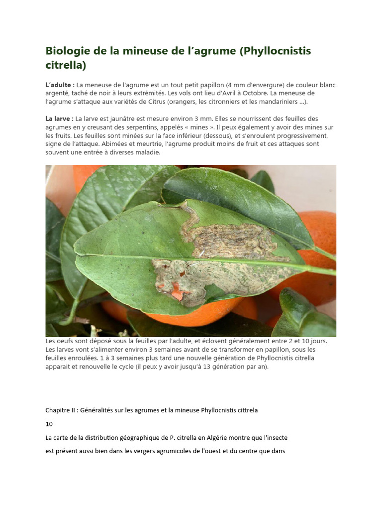 Biologie de la mineuse des agrumes PDF Insectes — free download
