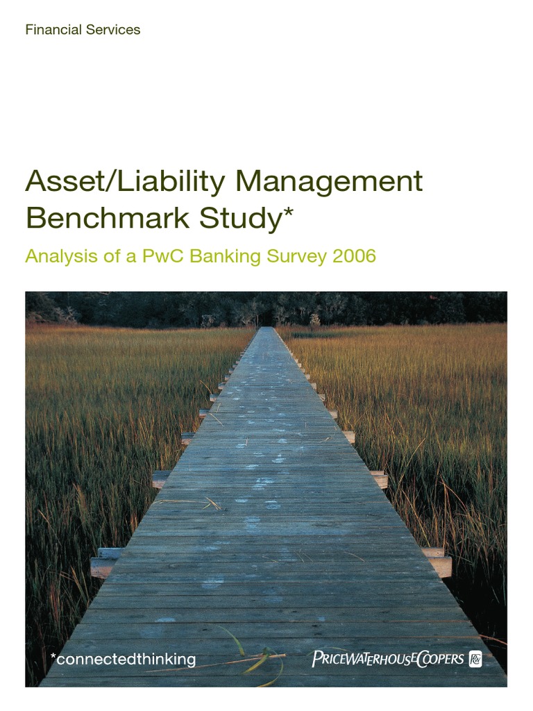 Asset Liability Benchmark Study 2006 | PDF | Basel Ii | Risk Management