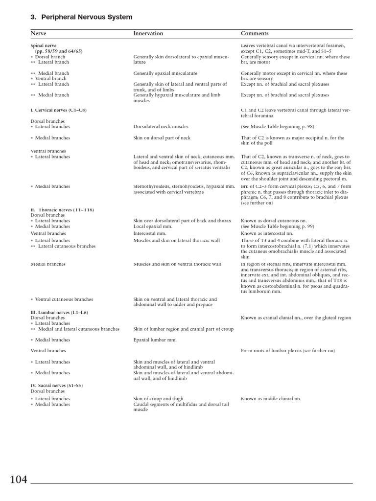 anatomy-of-the-horse-6th-edition-111-165-pdf-nervous-system