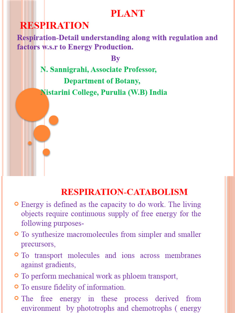 Understanding Plant Respiration Processes | PDF | Diet & Nutrition ...