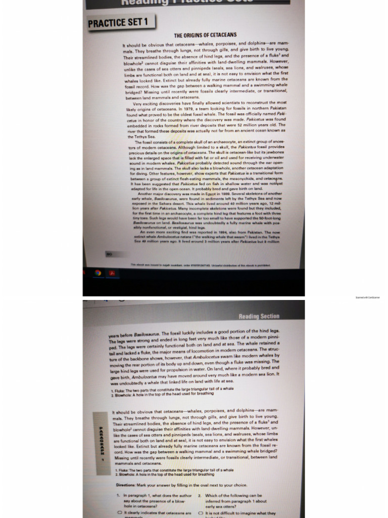 Toefl Reading ETS | PDF