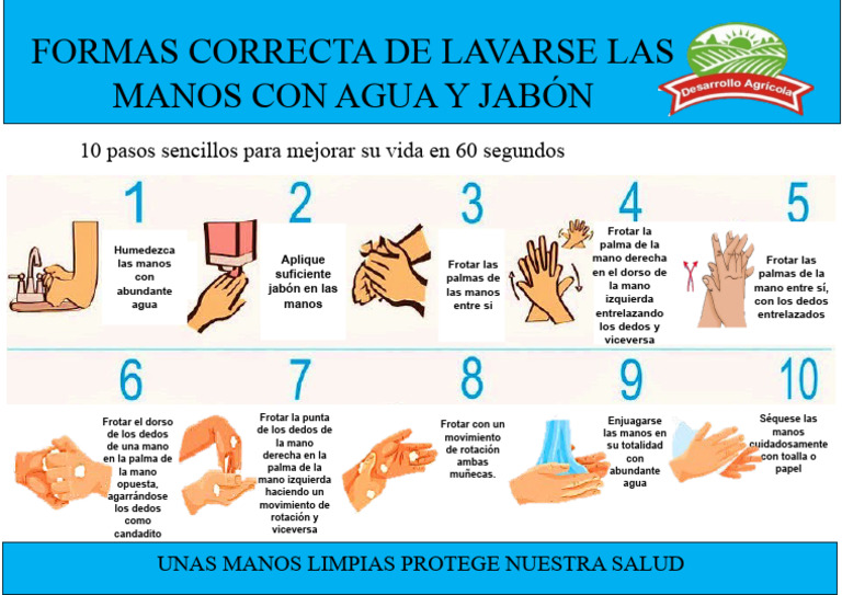 Técnica de Lavado de Manos en 10 Pasos | PDF