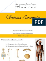 I Curso de Anatomofisiologia Humana - Sistema Locomtor