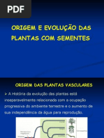 Evolução das Fanerógamas