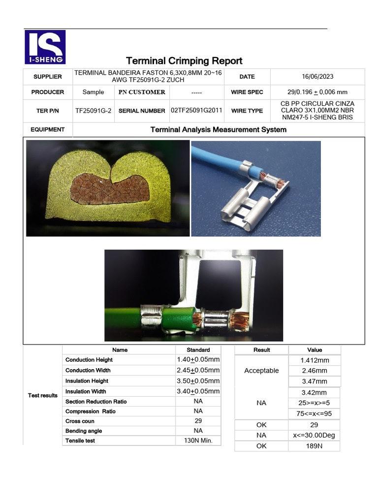 Report Cross Section TERM - FASTON BANDEIRA ZUCH TF25091G-2