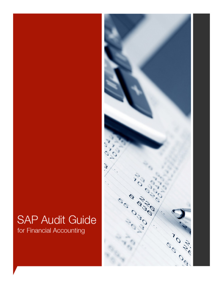 Sap audit guide financial accounting layer seven security