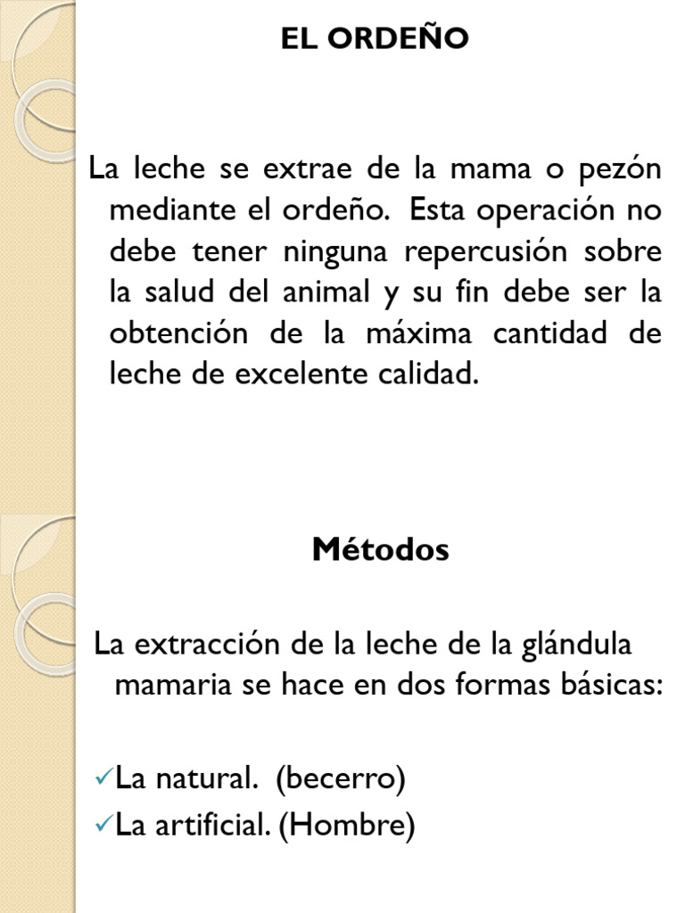 Ordeño Manual: Técnicas y Consideraciones | PDF | Leche | Vacas