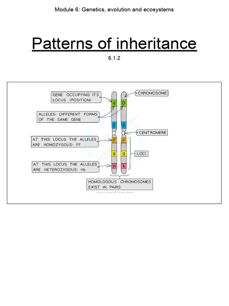 Genetics and Evolution: Inheritance Patterns | PDF | Allele | Dominance ...