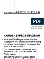 Sandy Ishikawa Diagram