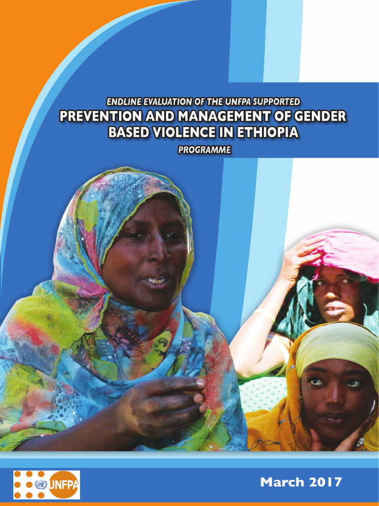 Endline evaluation final pdf violence against women evaluation