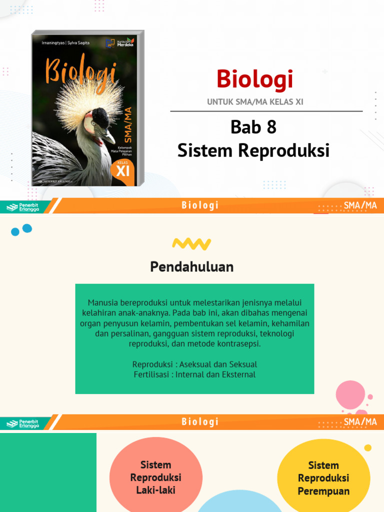 Bab 8 Biologi Kelas XI Kur-Merdeka-edit | PDF