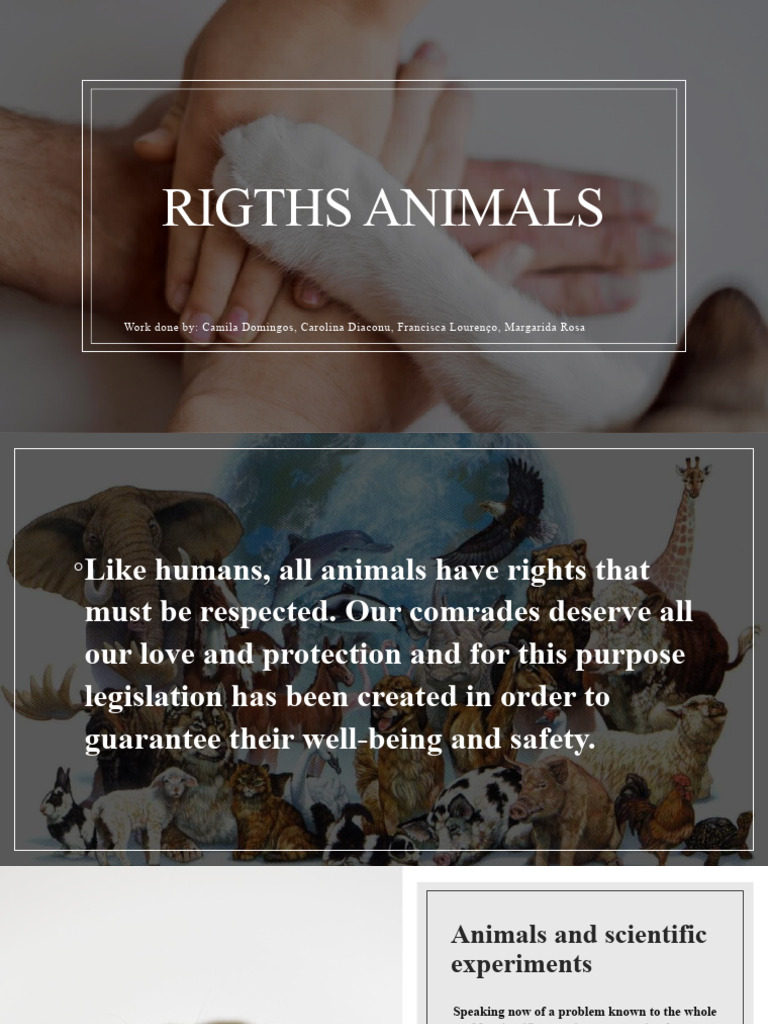 Animal Rights and Experiments | PDF | Wellness | Science & Mathematics