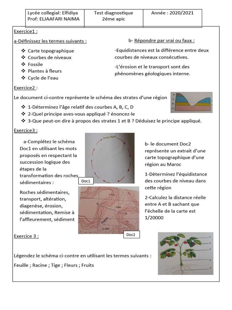 Evaluation Diagnostique SVT 2AC Word 2 | PDF