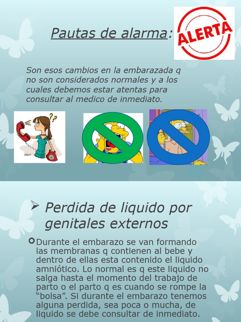 Clase 1 Tema 3 Pautas de Alarma | PDF