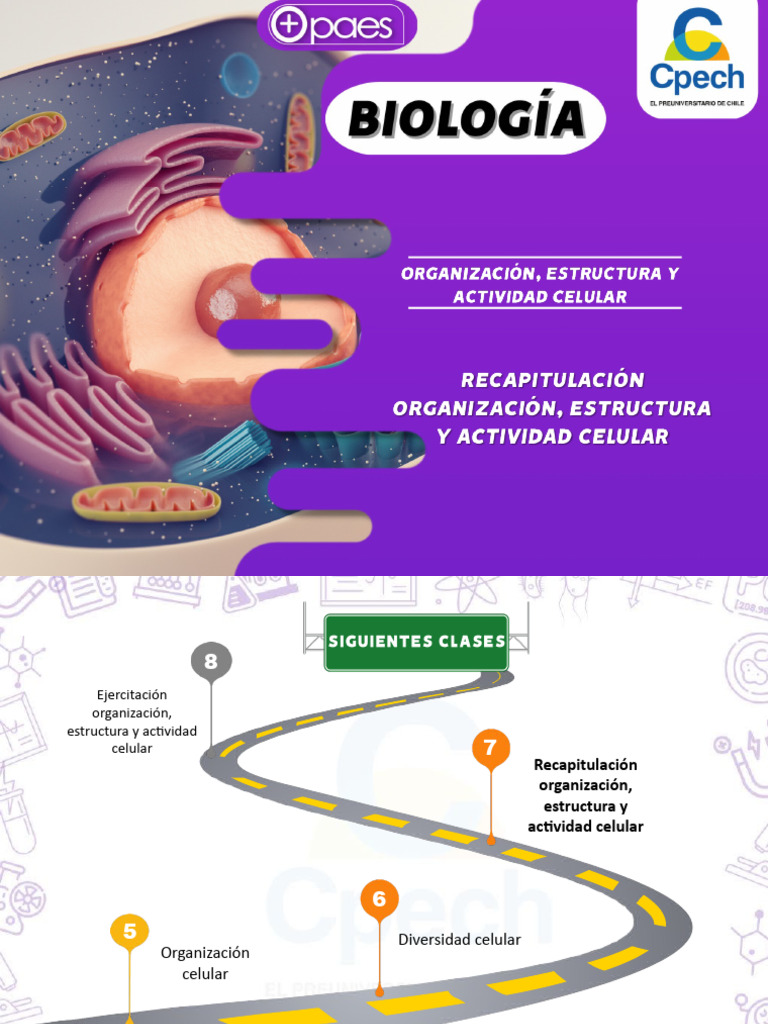 Estructura y Función Celular | PDF | Biología Celular) | Citoplasma