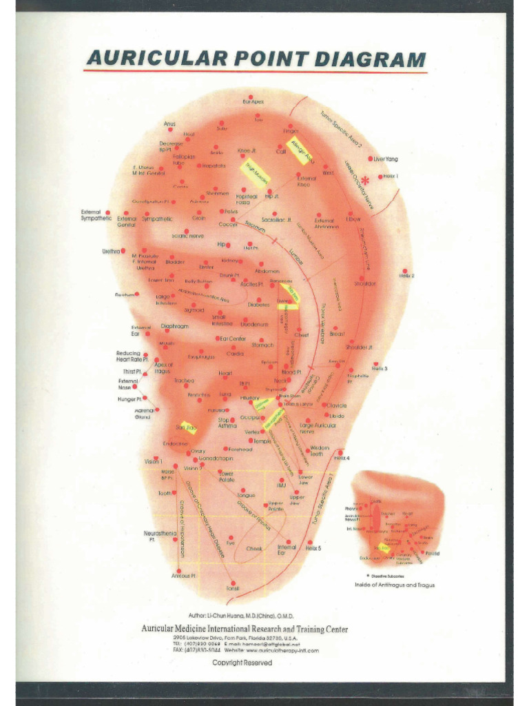 Mapa Auricular de Puntos | PDF
