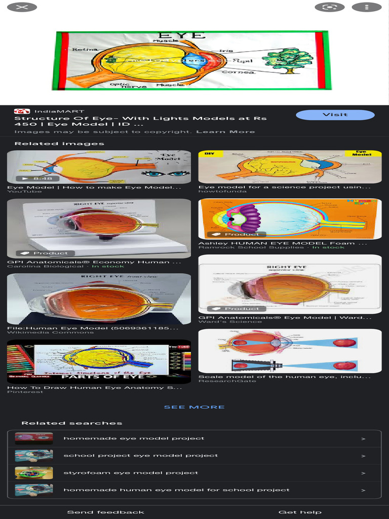 Picture of a Human Eye Model - Google Search | PDF