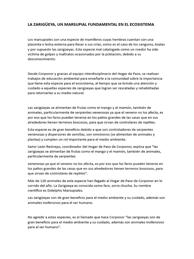 La Zarigüeya PDF
