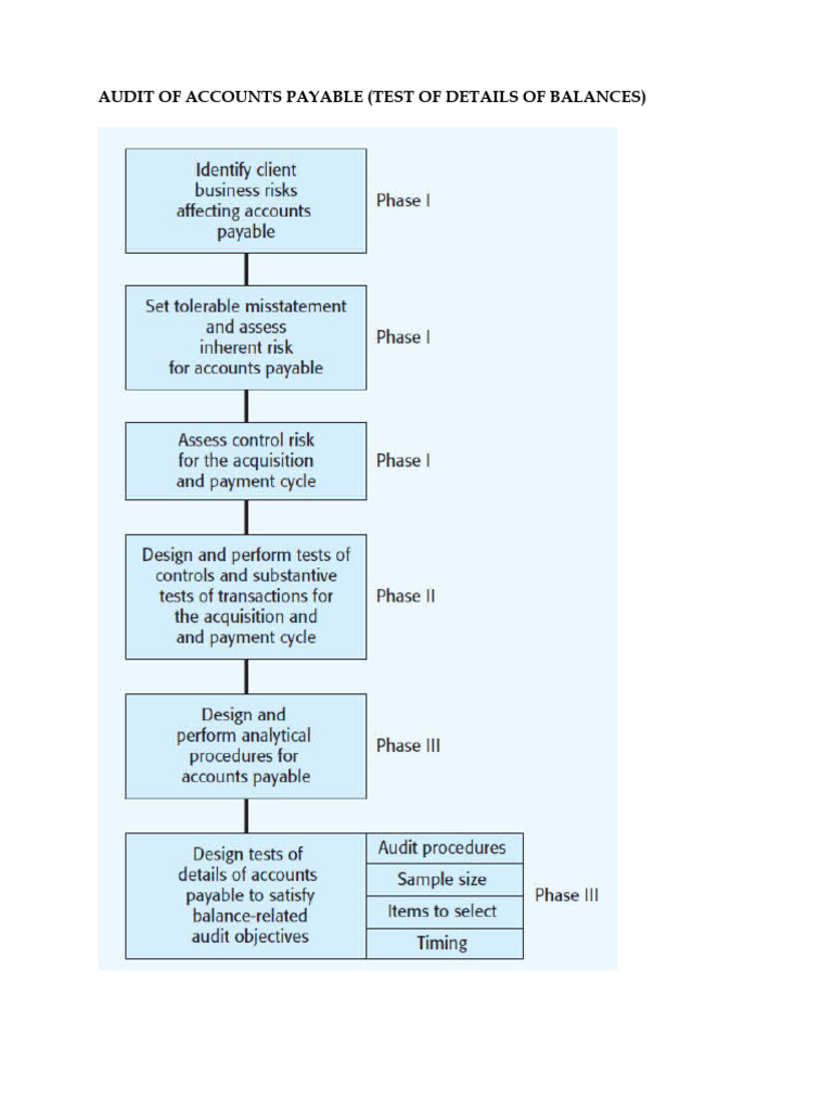 CM 6 Audit of Accounts Payable | PDF | Accounts Payable | Audit