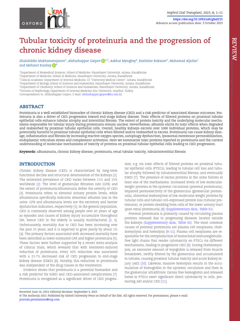 Tubular Toxicity of Proteinuria and The Progression of Chronic Kidney ...