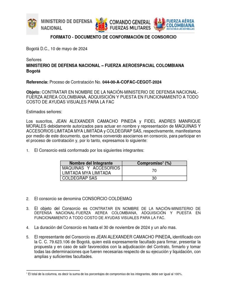 Formato Conformacion Proponente Plural | PDF