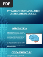 Histology of the Cerebral Cortex | PDF | Cerebellum | Cerebral Cortex