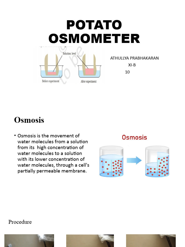 Potato Osmometer PDF