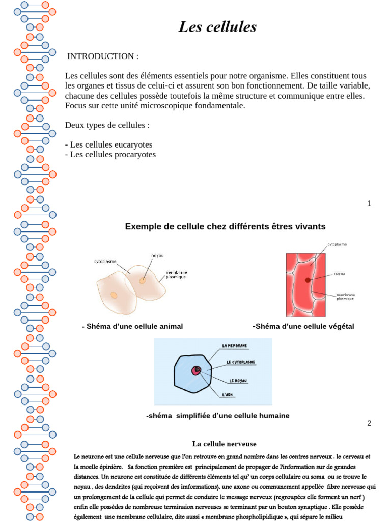 Types de cellules et leur fonctionnement | PDF | Cellule (Biologie ...