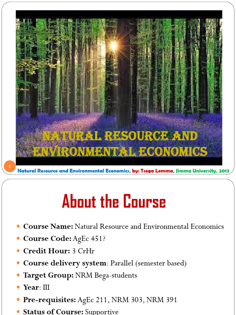 Nree Chapter 1 Tsega LB 2013 | PDF | Economics | Market (Economics)