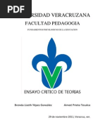 Ensayo critico de teorias