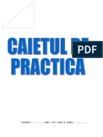 Caiet - Practica 2 Bucok Ok Ok