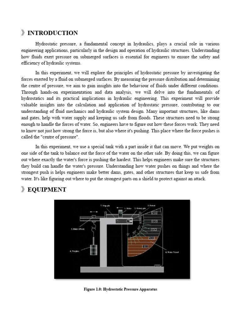 Hydrostatic Pressure Experiment Overview | PDF | Pressure | Buoyancy