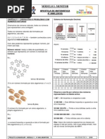 Orientações Pedagógicas MÓDULO 1 MATEMÁTICA 4º ANO