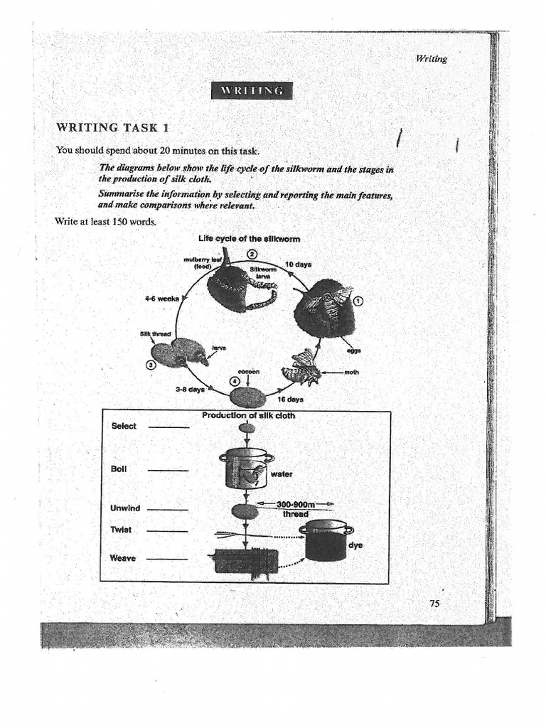 Task 1 map and process | PDF