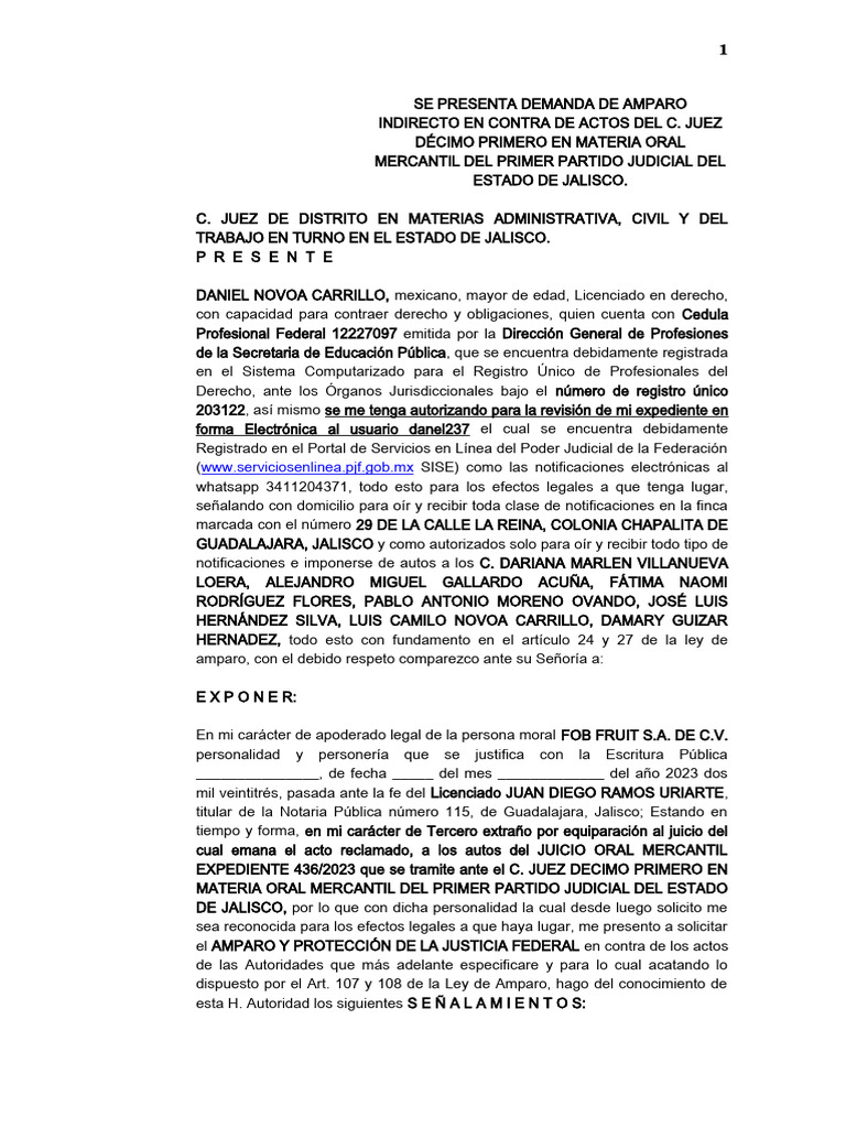 Amparo contra actos del Juez Mercantil | PDF | Mandato | Caso de ley