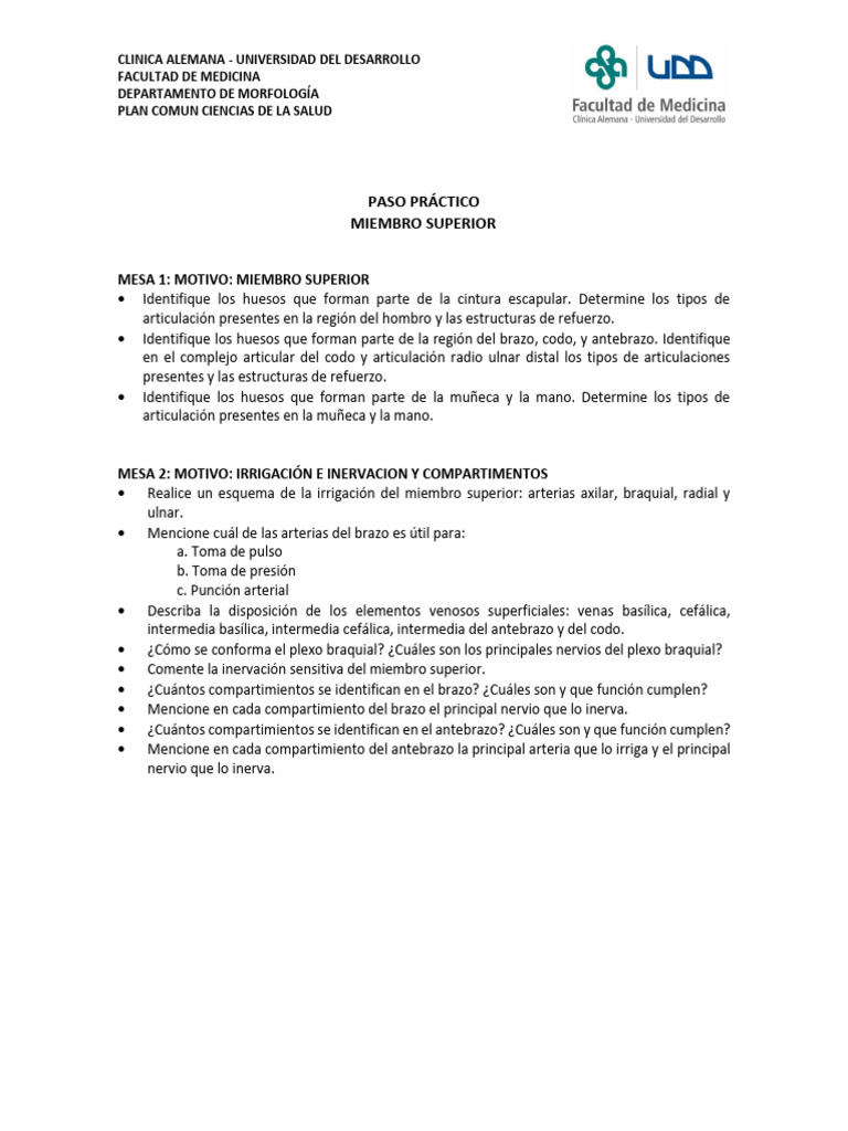 Pp+8+miembro+superior+2024 2 | PDF | Extremidades (anatomía) | Anatomía