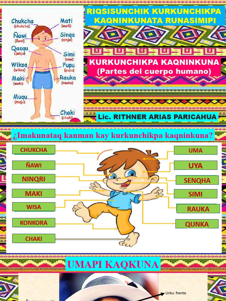 Partes Del Cuerpo Humano en Quechua - Vii Ciclo | PDF